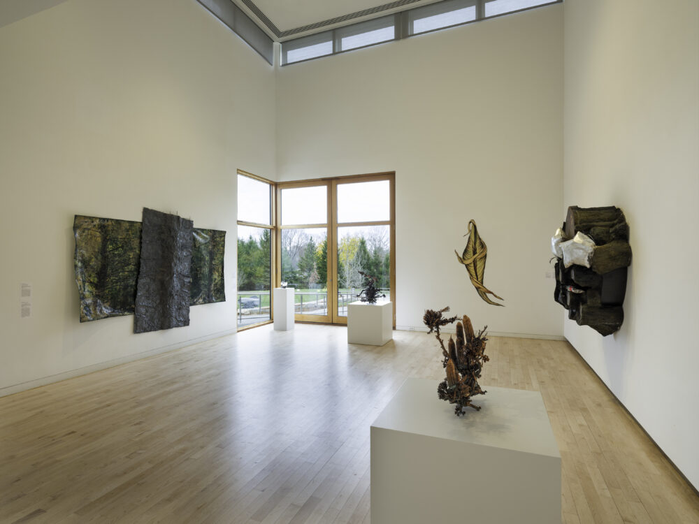 A museum gallery with various artworks relating to the theme of garden on display