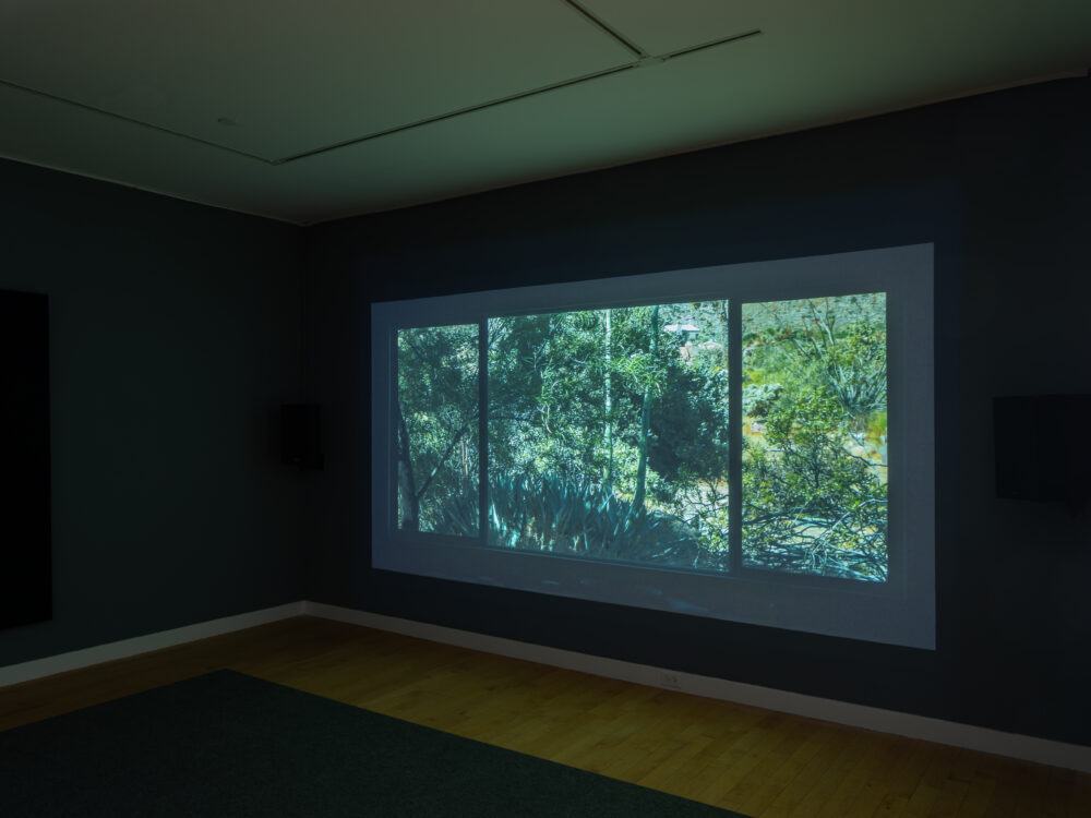 Projected video on a black wall of a three pane window with a lush forest in the background.