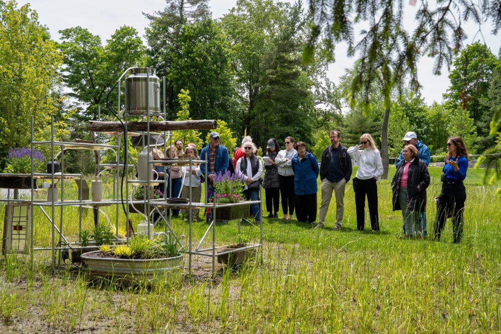 Museum visitors looking at sculpture that includes piped watering system and flowers in an outdoor sculpture garden.