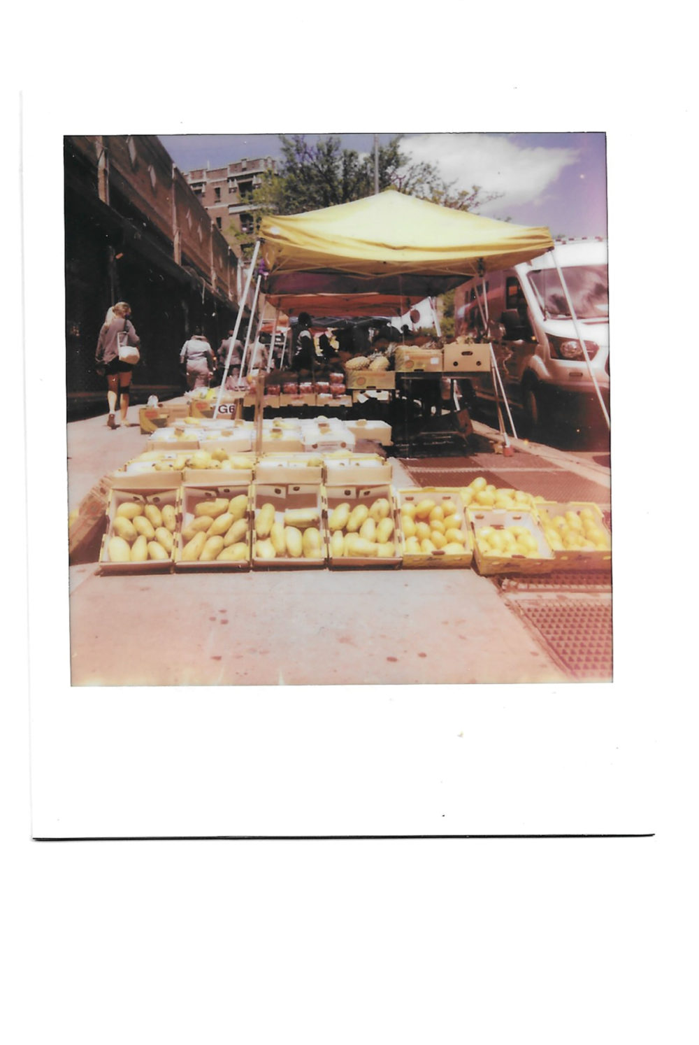 Fruit stand on corner in New York City