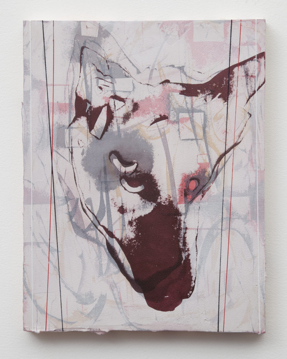 Coyote head with a dark snout.