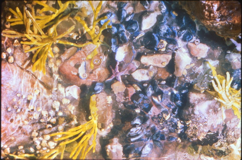 A photo of Robert Gober's installation that features a fall ocean floor