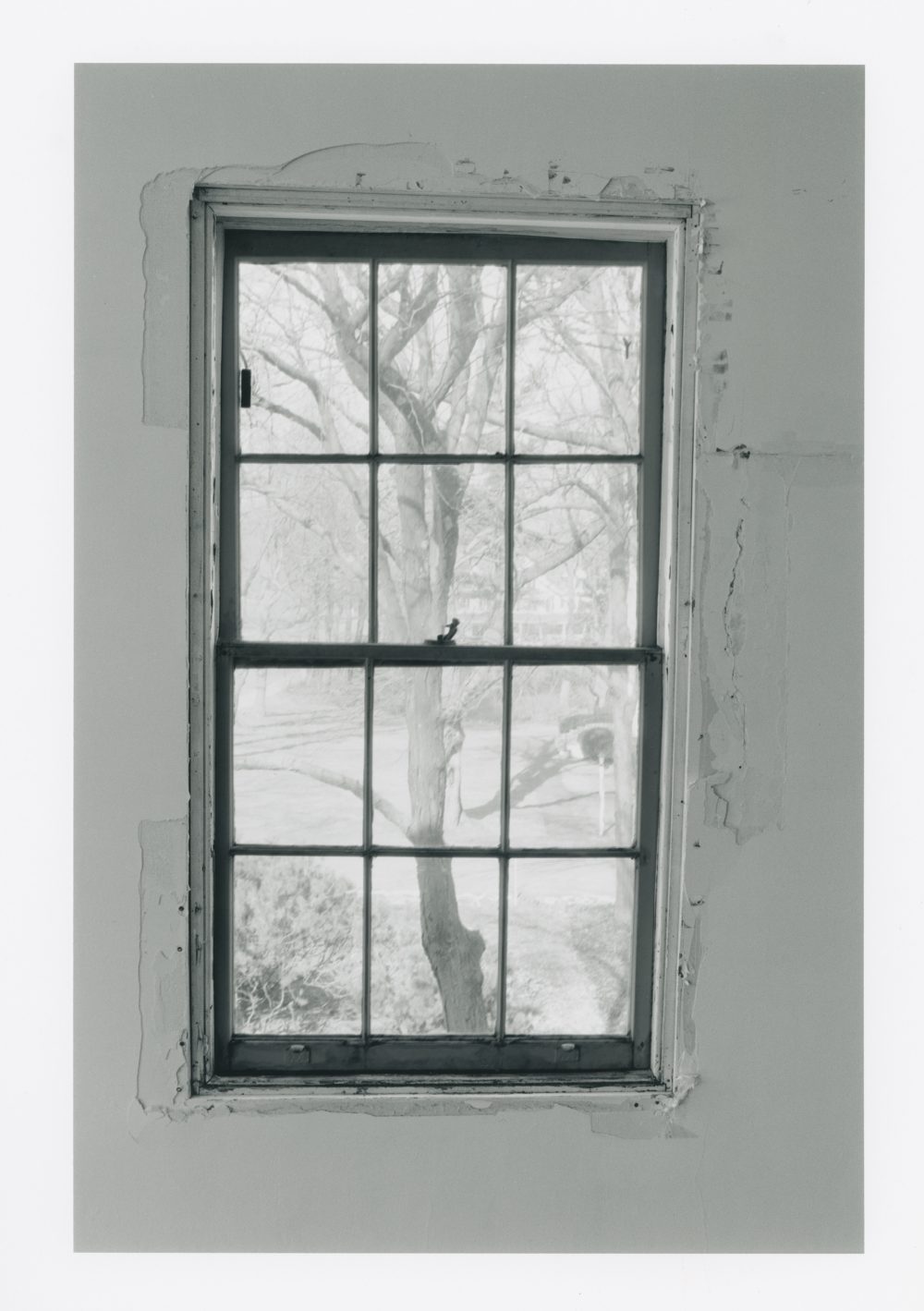 A revealed window inside The Aldrich by Ann Hamilton