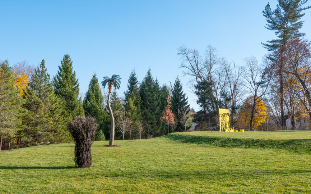 Exterior view of a sculpture garden displaying a sculpture of a palm tree and a sculpture of a bush made of wire rope.