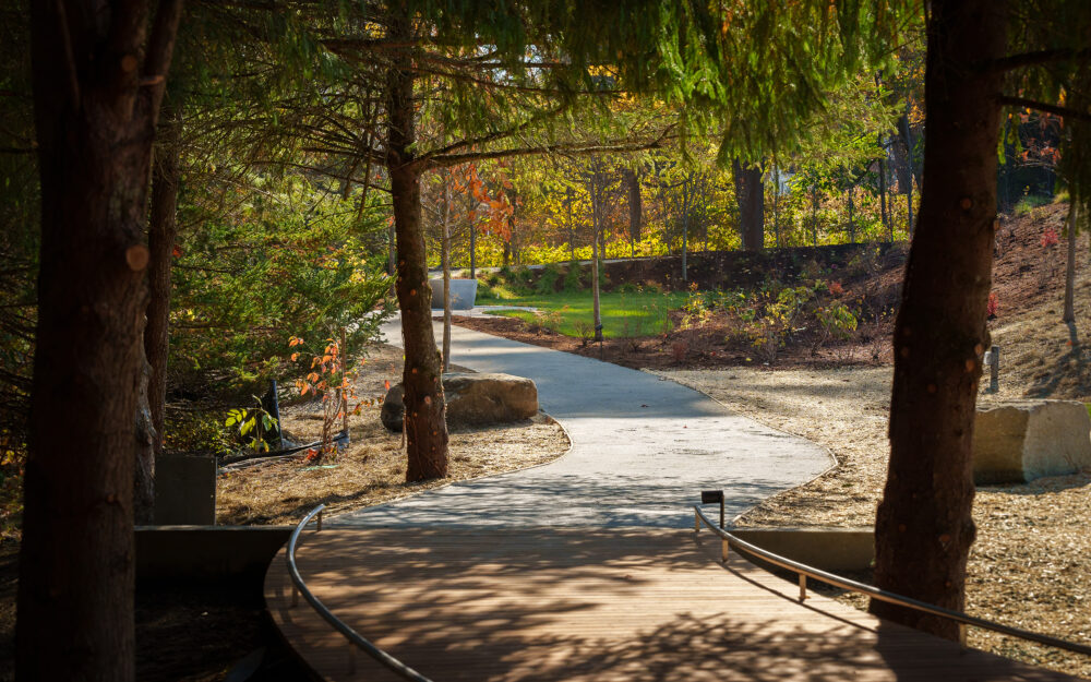 outdoor photo of a pathway in a garden