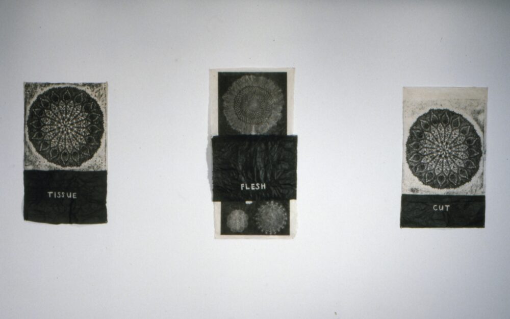 Paintings of scientific cross sections of flesh