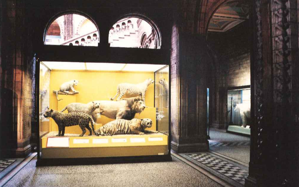 Natural History Museum, London, I
