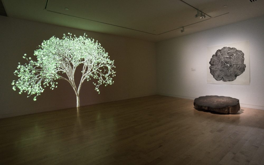 Weather Report installation at The Aldrich