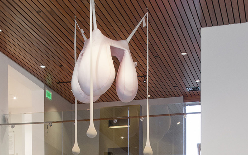 Ernesto Neto, The Body That Gravitates Me