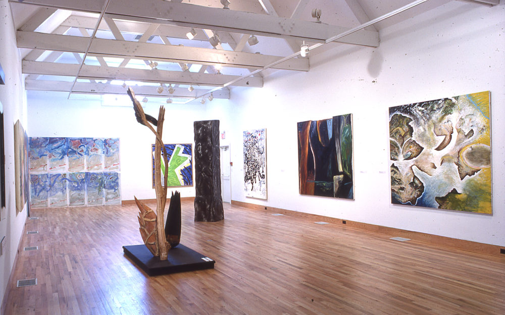 Contemporary View of Nature