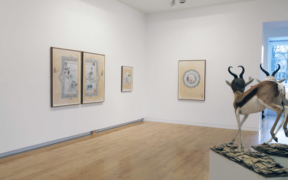 Pretty Tough: Contemporary Storytelling