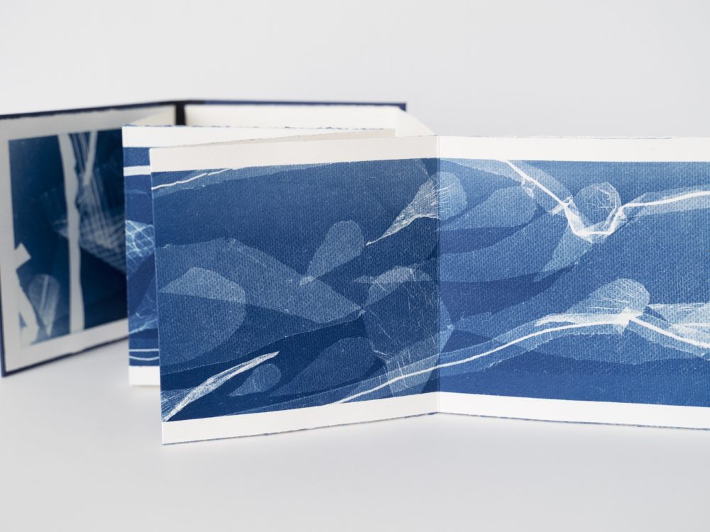 The accordion folded pages of an artists' book with blue and white cyanotype images.