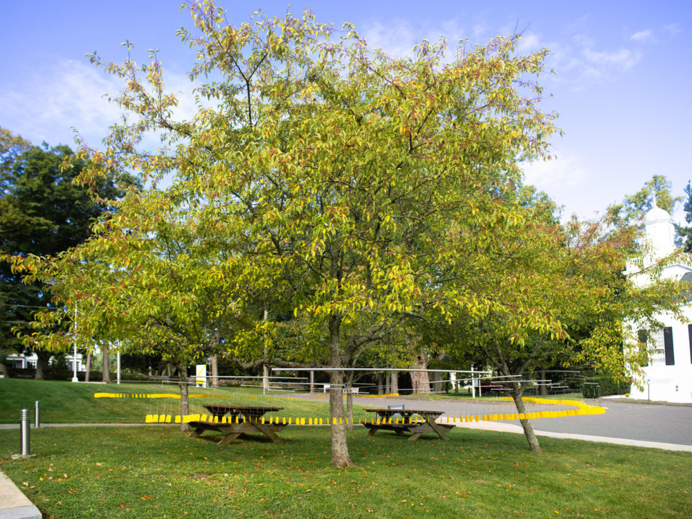 Mobile sculptures with yellow dangling pieces hung in trees by two picnic tables.