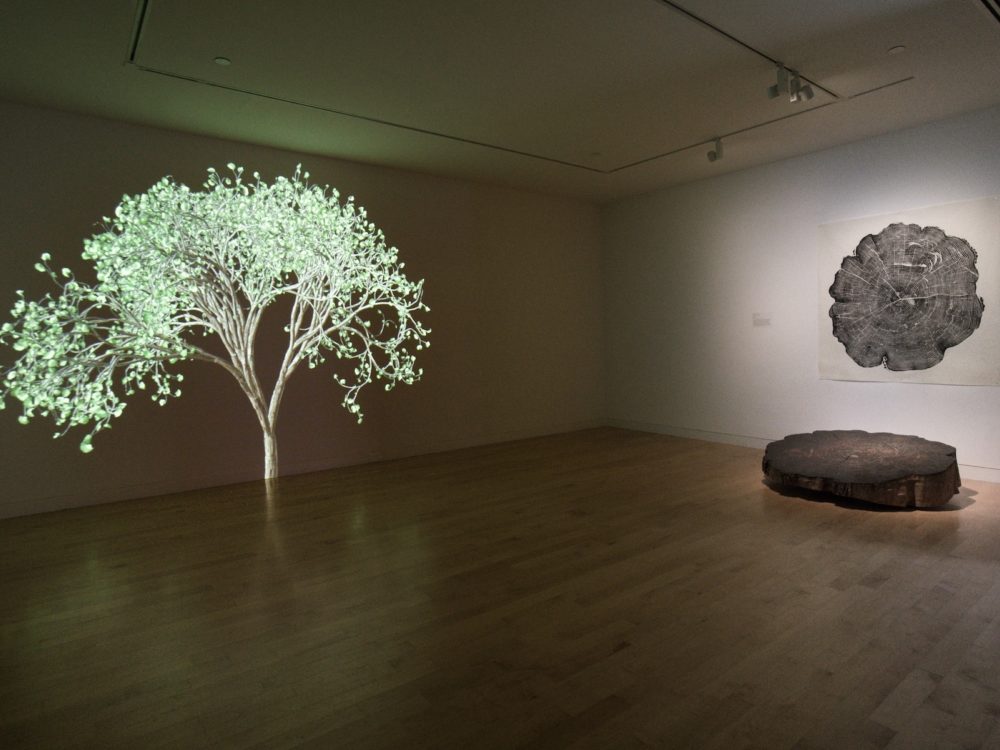 Weather Report installation at The Aldrich