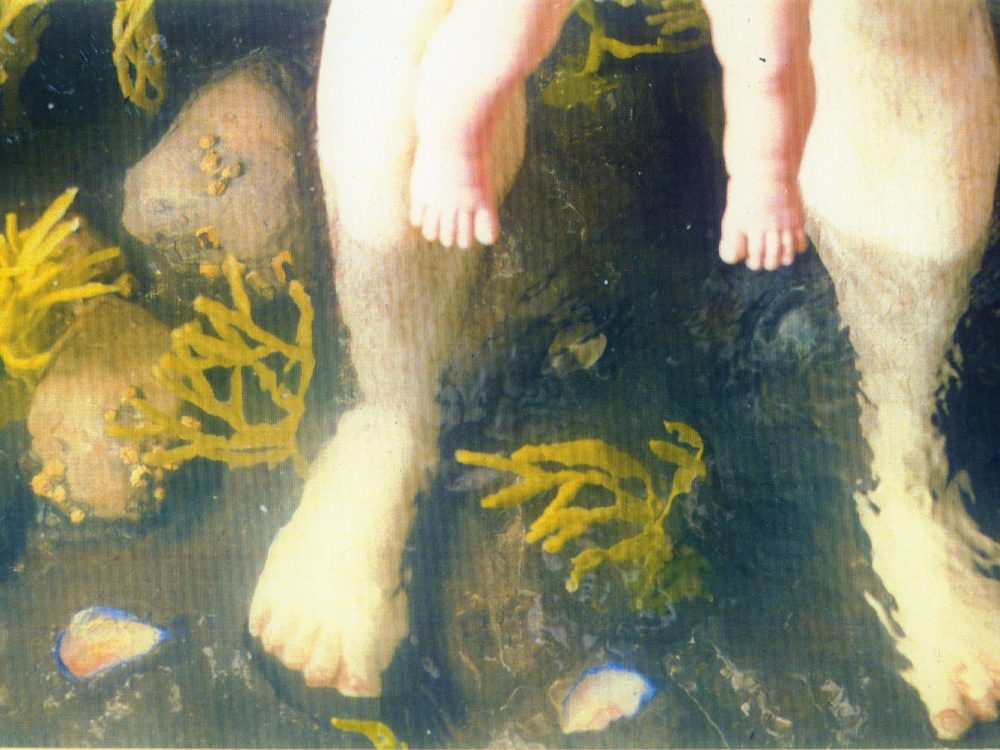 Two pairs of wax legs standing in a false river/ ocean with algae, rocks and water
