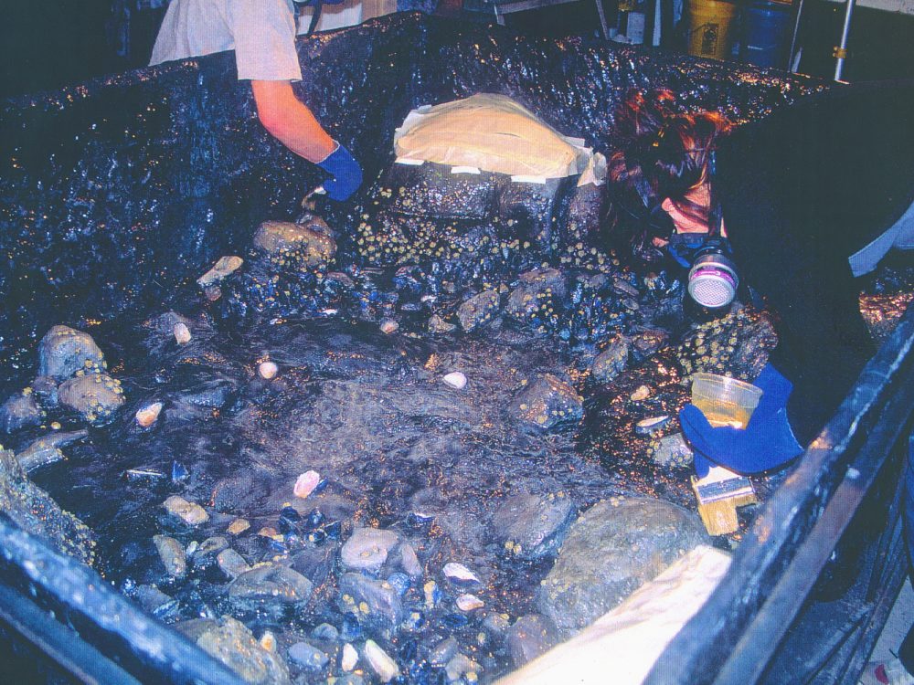 The creation of a false river/ocean floor which is filled with rocks and algae